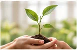 Hands holding a young plant, symbolising hope